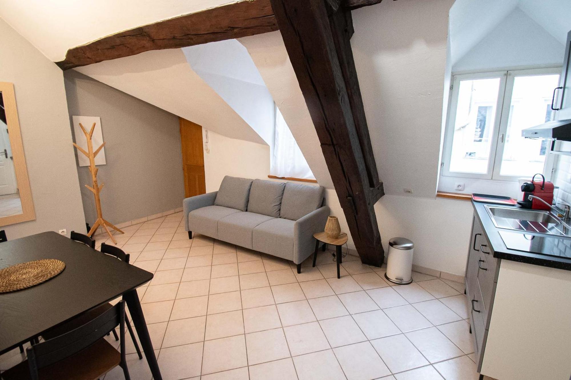 Residence Le Zola Compose De 3 Appartements Distincts En Hyper Centre De Dijon Avec Wifi ภายนอก รูปภาพ