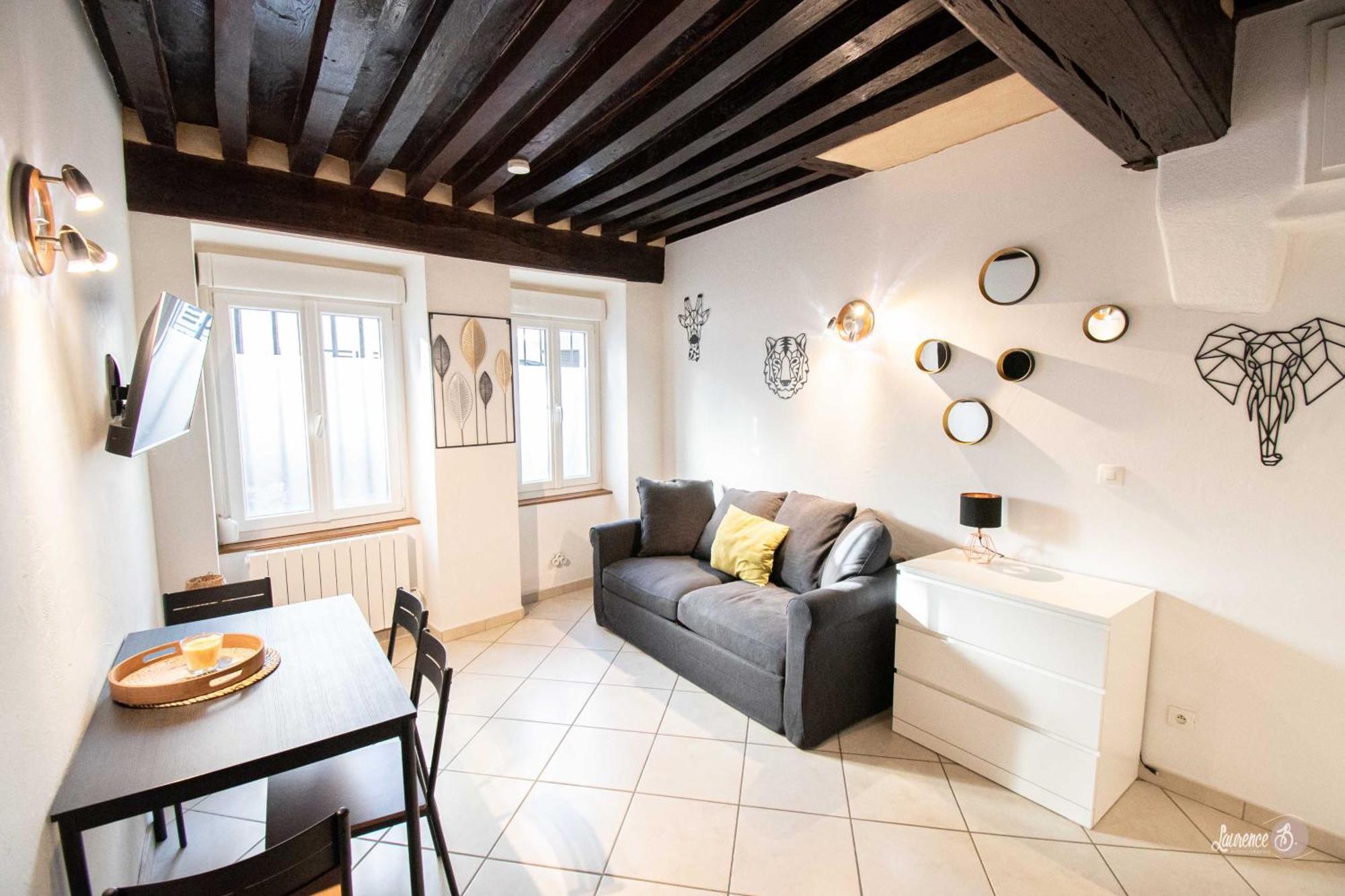 Residence Le Zola Compose De 3 Appartements Distincts En Hyper Centre De Dijon Avec Wifi ภายนอก รูปภาพ
